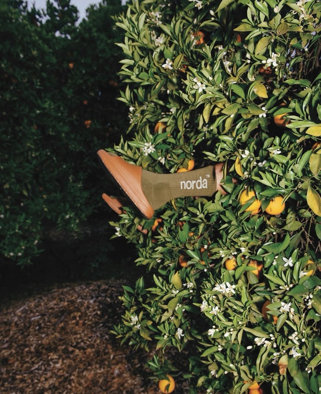 NORDA: BUILT FOR THE MOUNTAIN, ADOPTED BY CULTURE